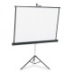 Apollo 70”x70” Tripod Projection Screen